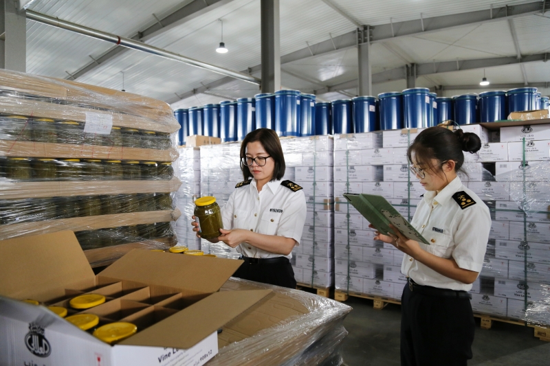 乌拉特海关开展出口葡萄叶现场查验和采样作业